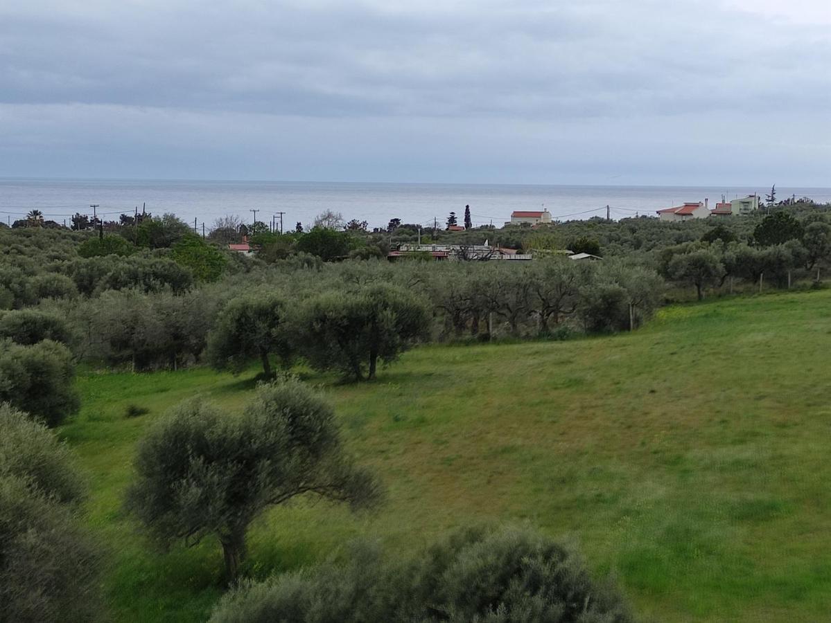 Villa Onari Alexandroupoli Esterno foto